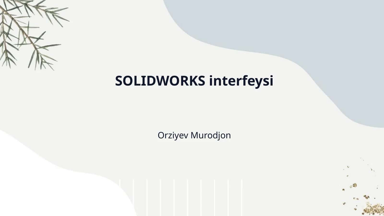 SOLIDWORKS interfeysi