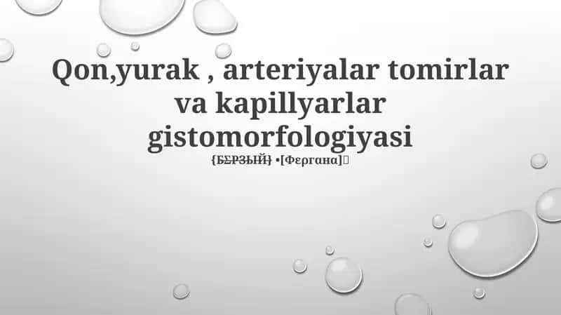 Qon,yurak, arteriyalar tomirlar va kapillyarlar gistomorfologiyasi