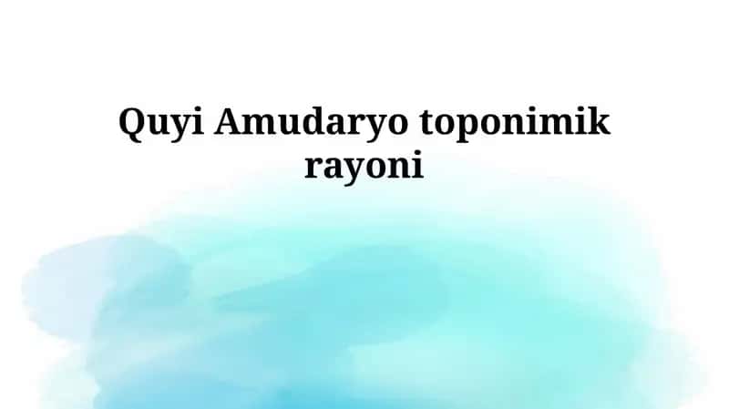 Quyi Amudaryo toponimik rayoni