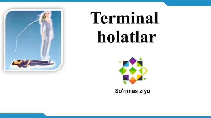 Terminal holatlar