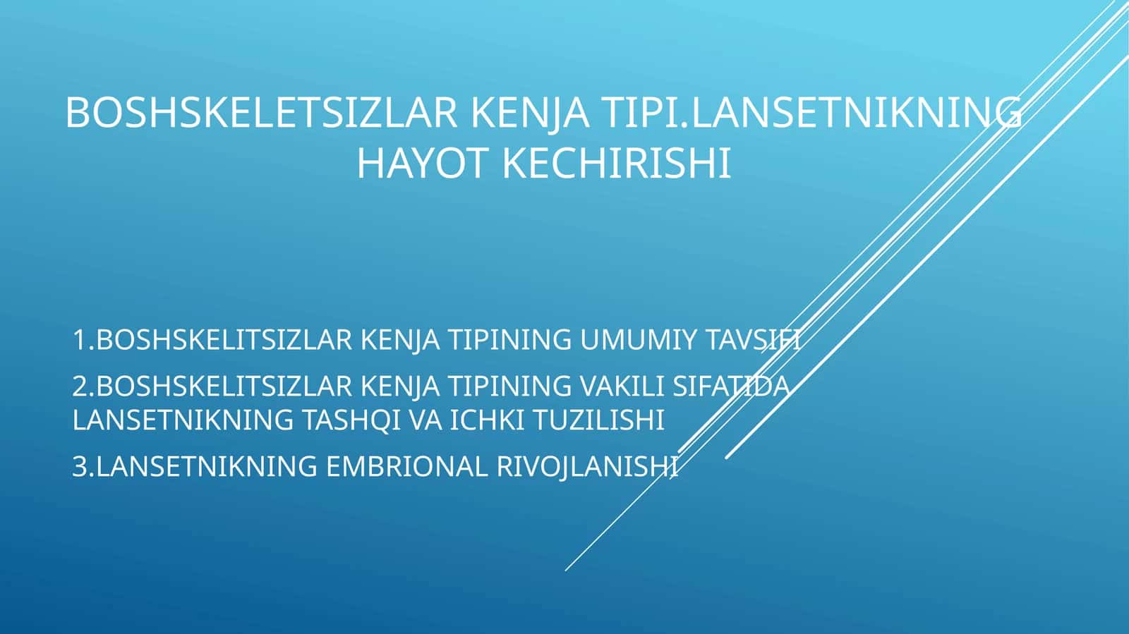 Boshskeletsizlarkenjatipi.lansetnikninghayotkechirishi