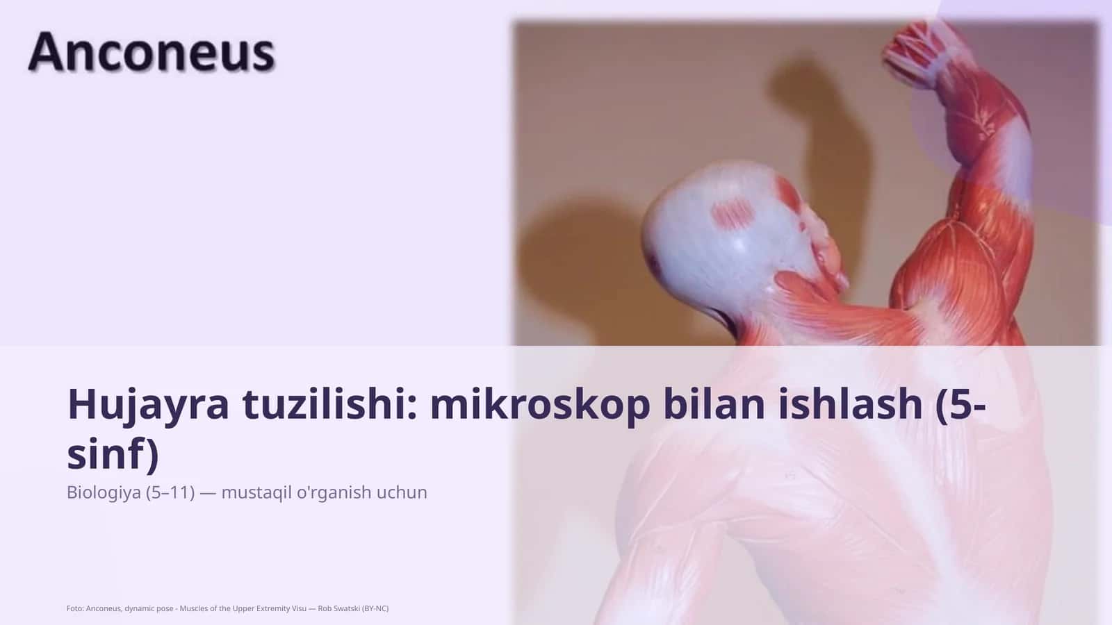 Hujayra tuzilishi: mikroskop bilan ishlash (5-sinf)