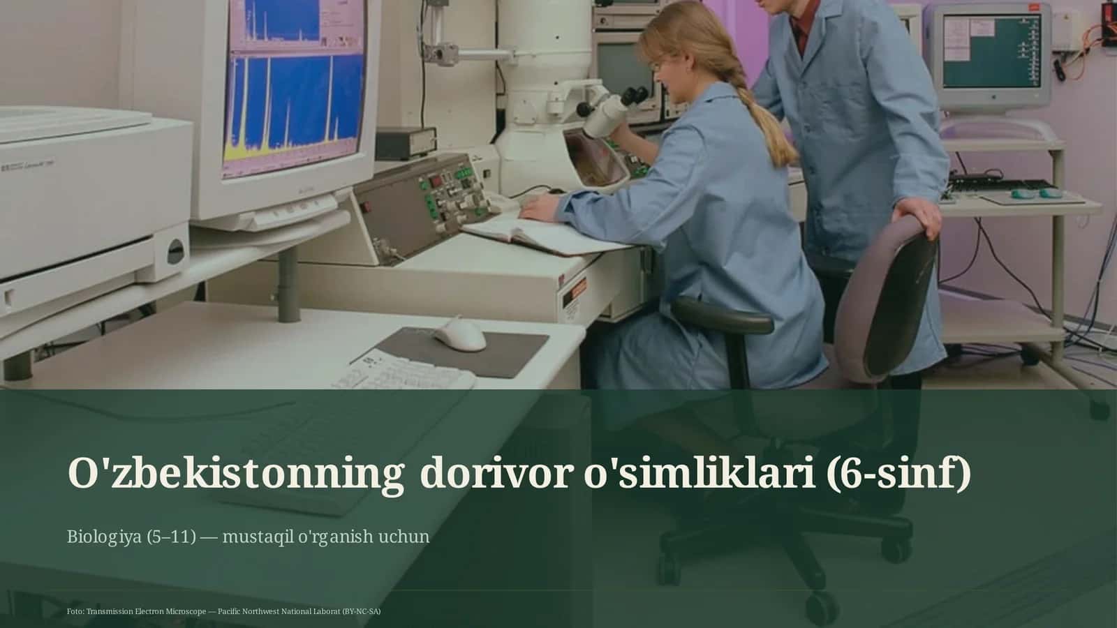 O'zbekistonning dorivor o'simliklari (6-sinf)