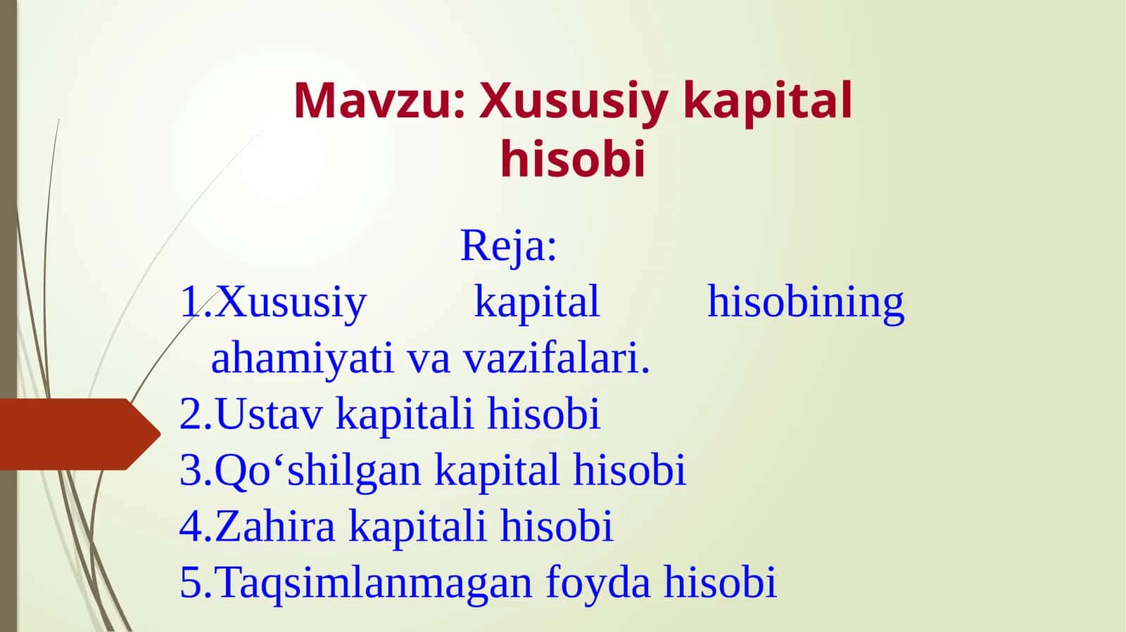 Xususiy kapital hisobi