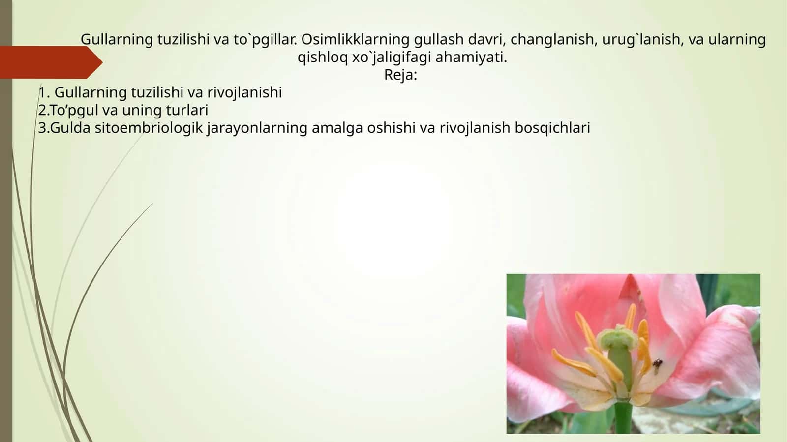 Osimlikklarning gullash davri