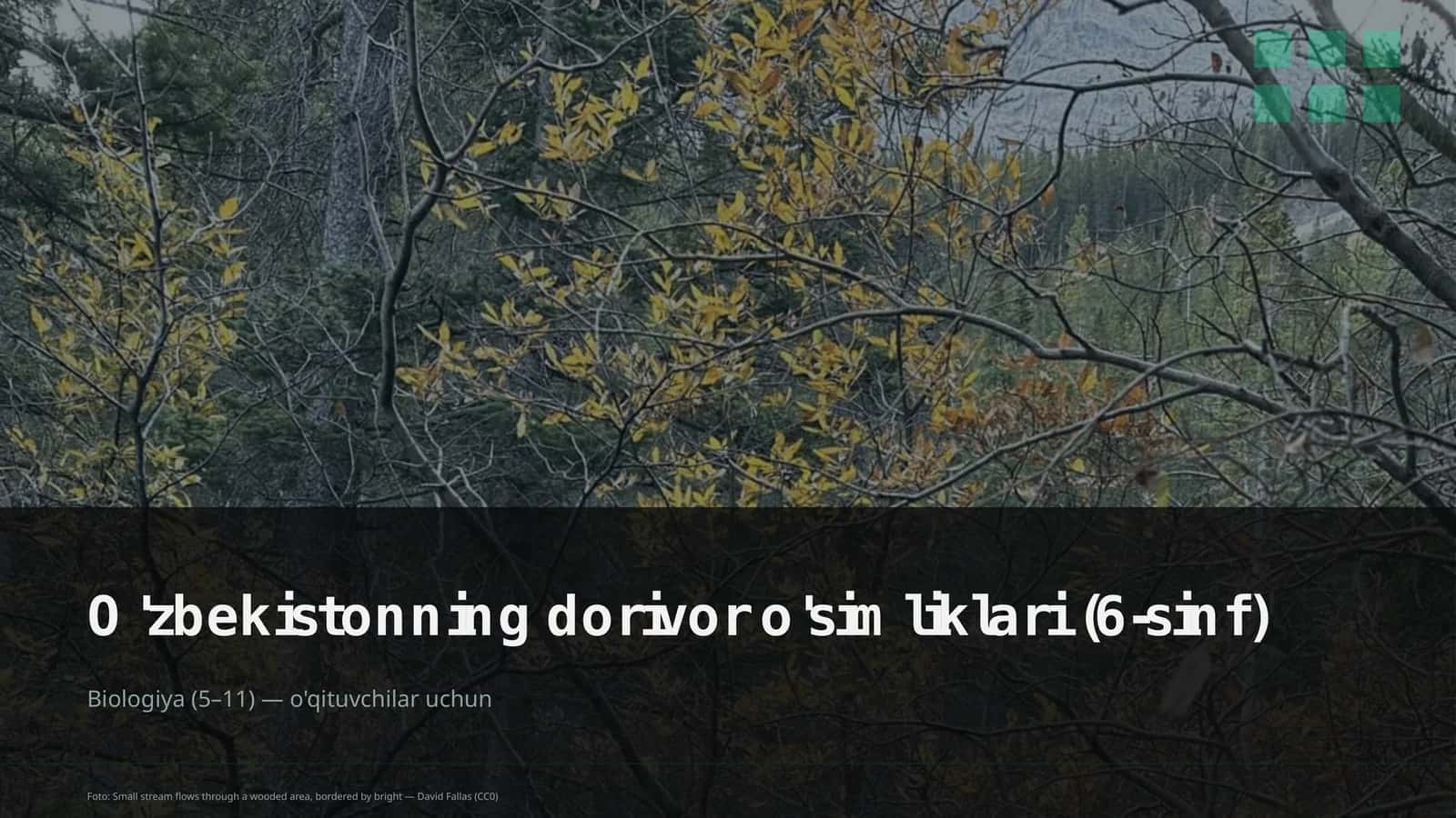 O'zbekistonning dorivor o'simliklari (6-sinf)