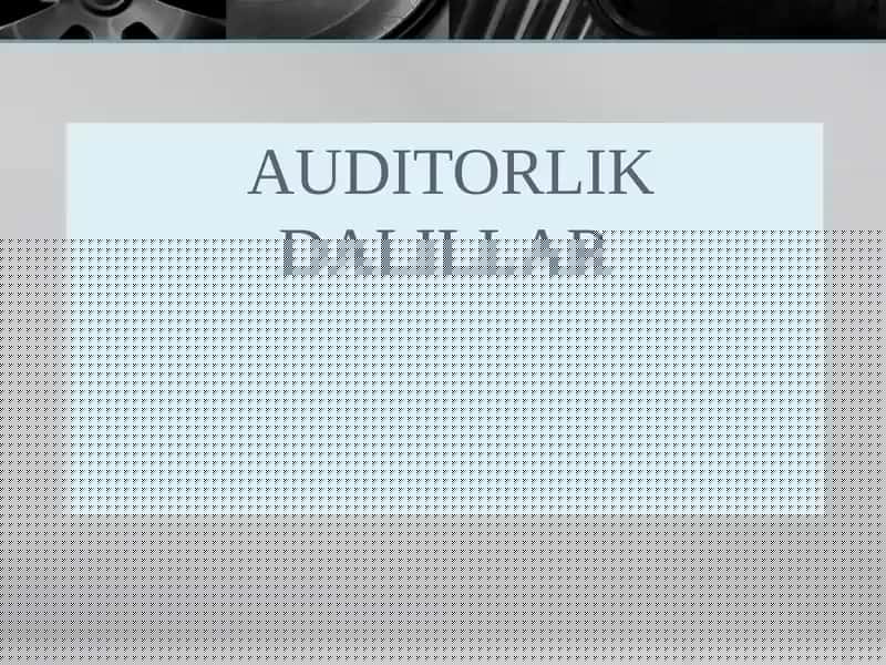 Auditorlik Dalillar