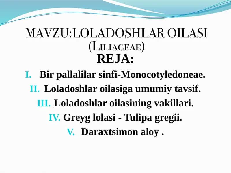 Loladoshlar oilasi (Liliaceae)