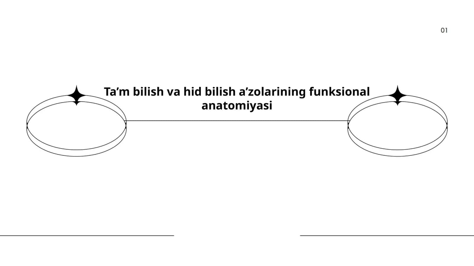 Ta’m bilish va hid bilish a’zolarining funksional anatomiyasi