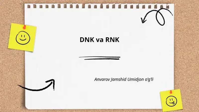DNK va RNK