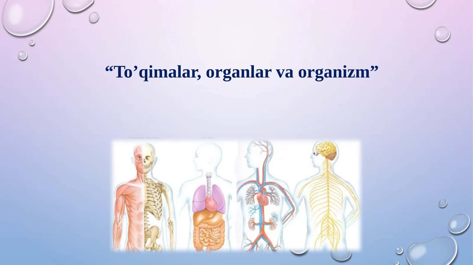 “To’qimalar, organlar va organizm”