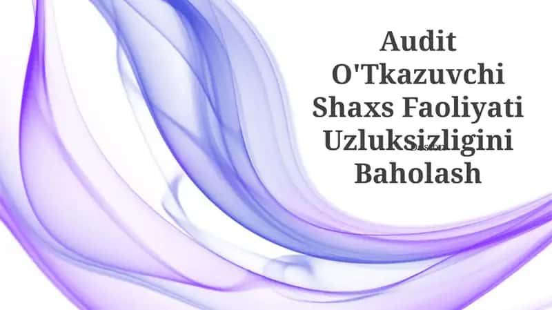 Audit O'Tkazuvchi Shaxs Faoliyati Uzluksizligini Baholash