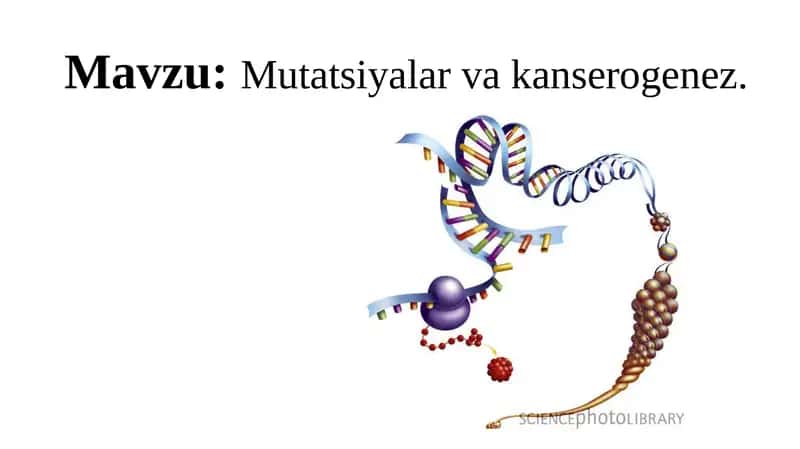 Mutatsiyalar va kanserogenez.