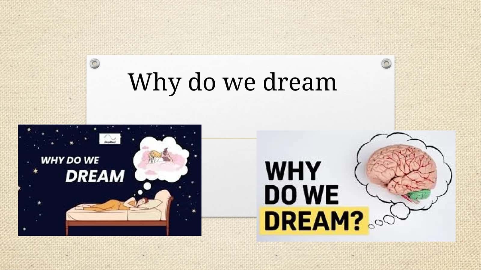 Why do we dream