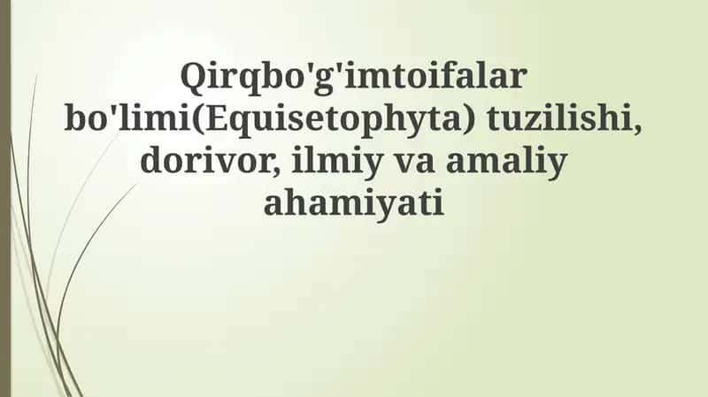 Equisetophyta bo'limi