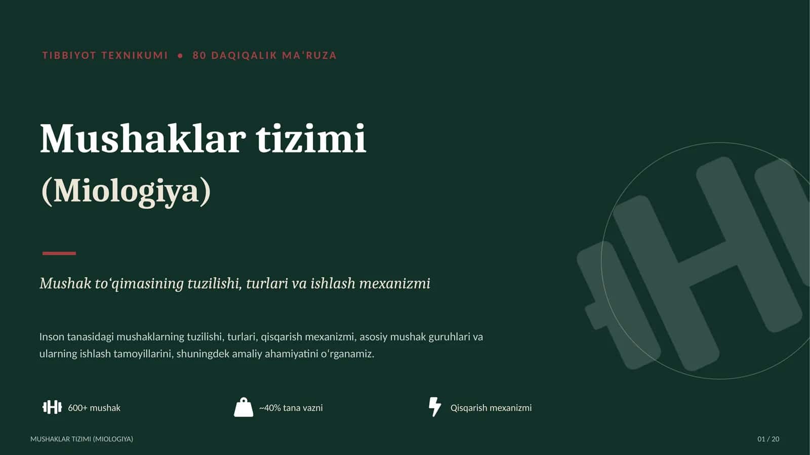 Mushaklar tizimi (Miologiya)