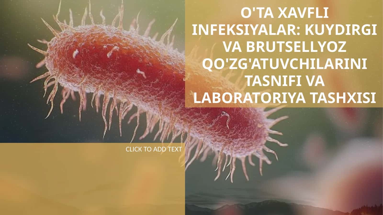 O'TA XAVFLI INFEKSIYALAR: KUYDIRGI VA BRUTSELLYOZ QO'ZG'ATUVCHILARINI TASNIFI VA LABORATORIYA TASHXISI