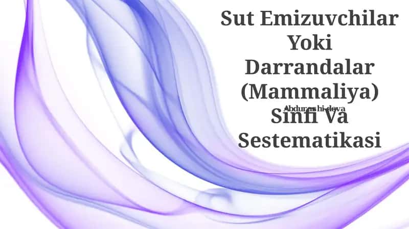 Sut Emizuvchilar Yoki Darrandalar (Mammaliya) Sinfi Va Sestematikasi