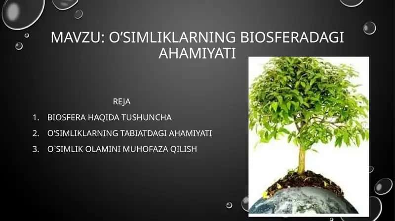 o’Simliklarning biosferadagi ahamiyati