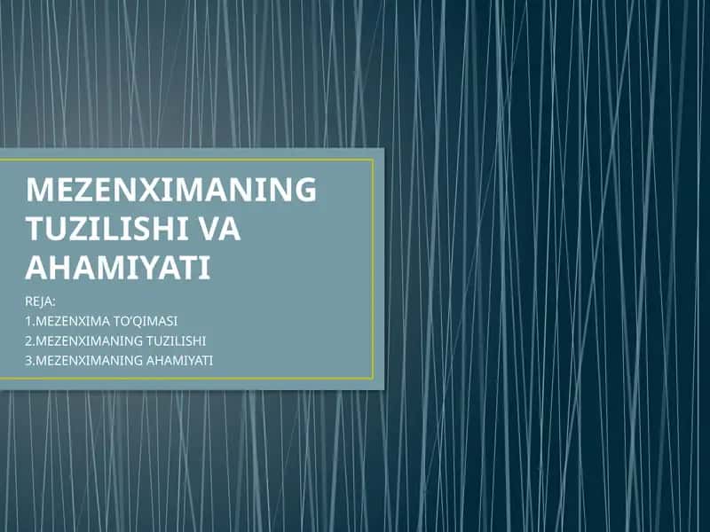 Mezenximaning Tuzilishi va Ahmiyat