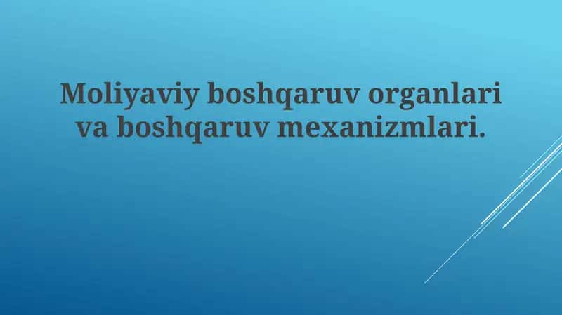 Moliyaviy boshqaruv organlari va boshqaruv mexanizmlari