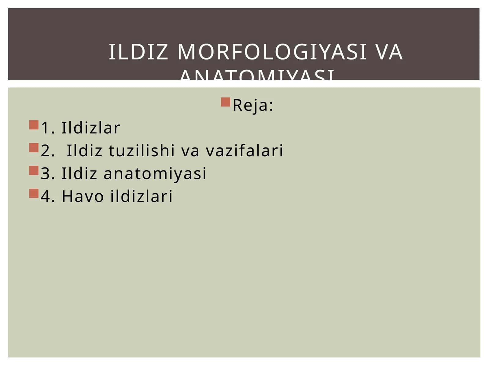Ildizlar