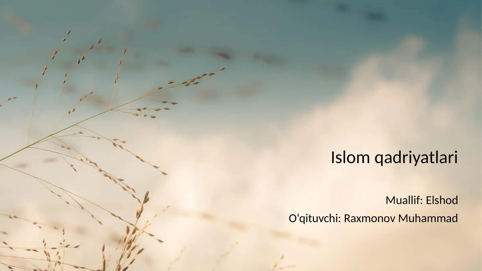 Islom qadriyatlari