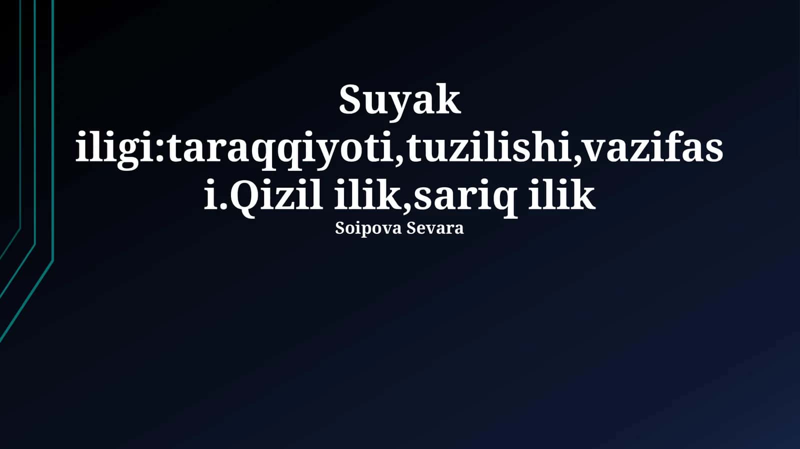 Suyak iligi