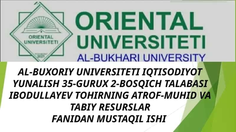 Oziq-Ovqat Chiqindilari va Bioyonilg'i