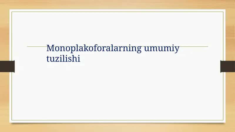 Monoplakoforalarning umumiy tuzilishi