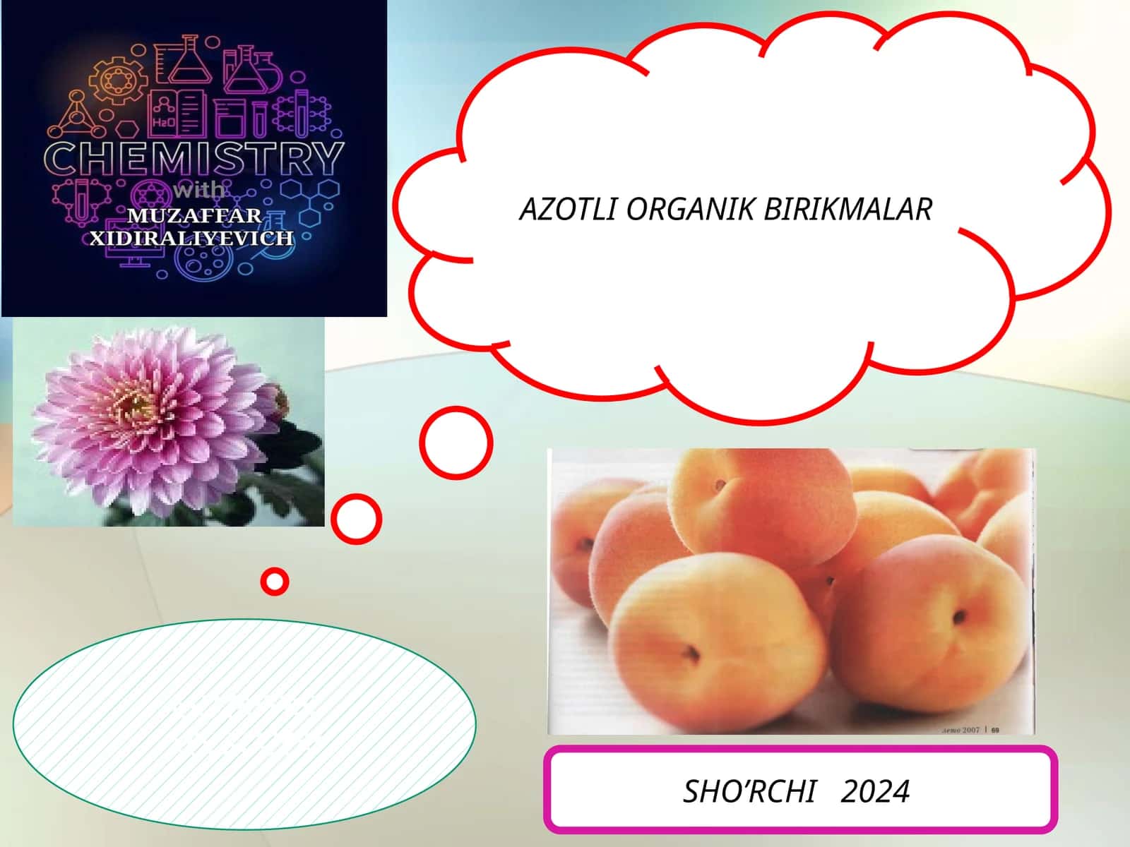 AZOTLI ORGANIK BIRIKMALAR