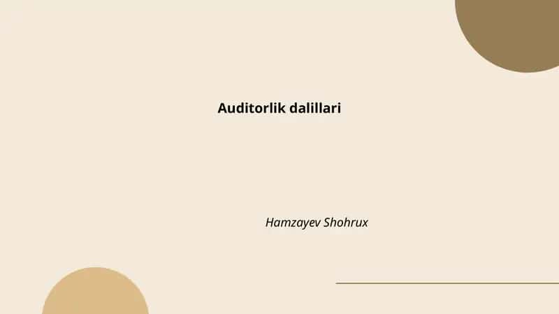 Auditorlik dalillari