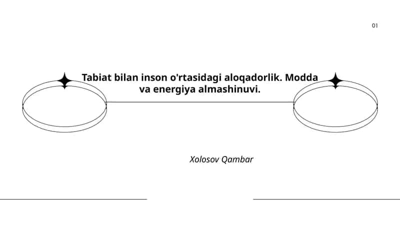 Ekosistemalarda modda va energiya oqimi