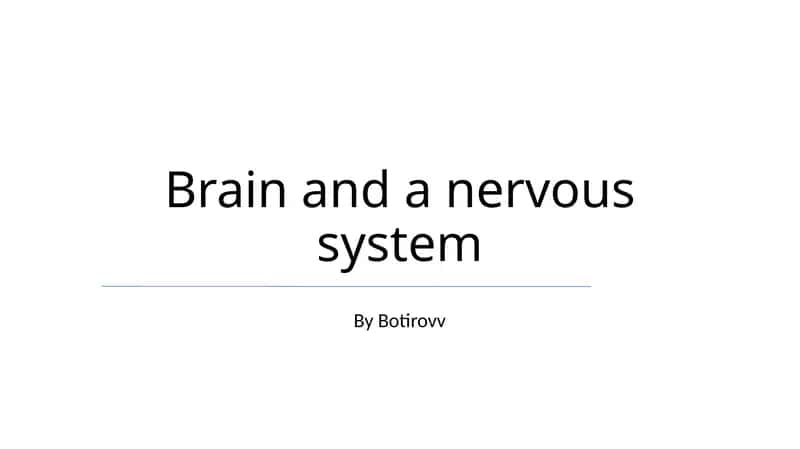 Brain and a nervous system