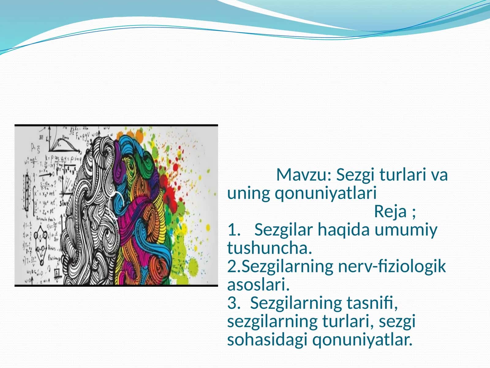 Sezgilarning nerv-fiziologik asoslari