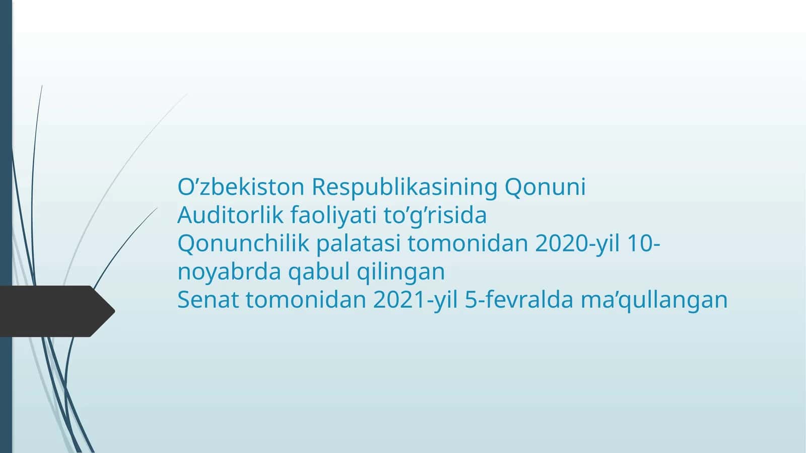 Auditorlik faoliyati to‘g‘risida Qonun
