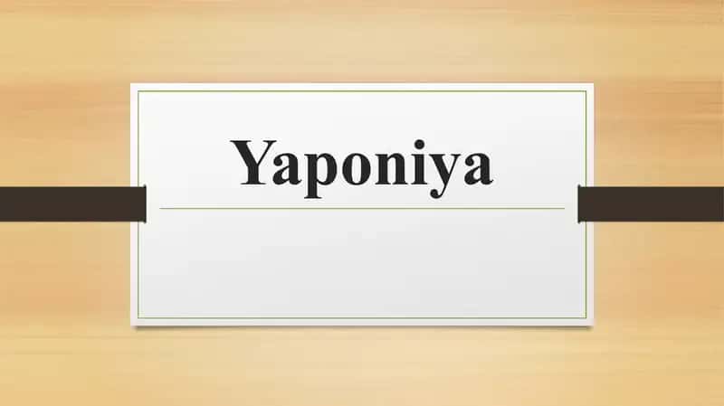 Yaponiya haqida slayd prezentatsiya