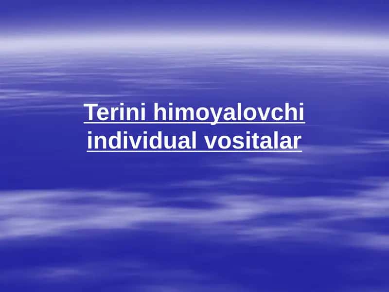 Terini himoya qilish vositalari