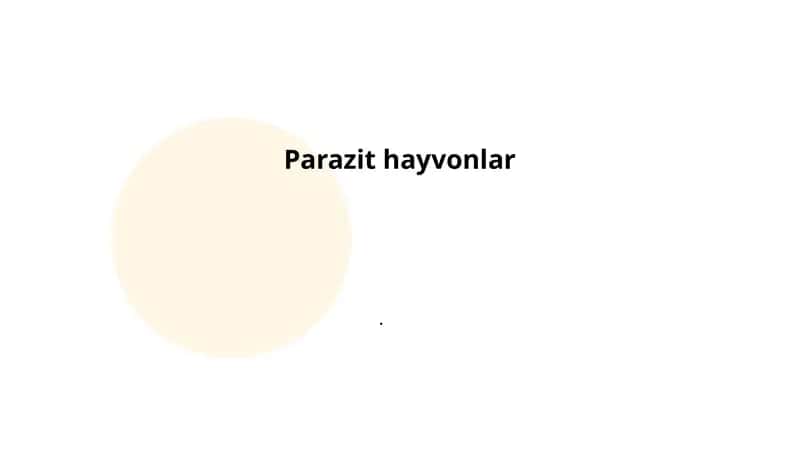 Parazit hayvonlar