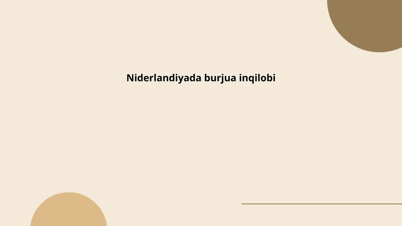 Niderlandiyada burjua inqilobi