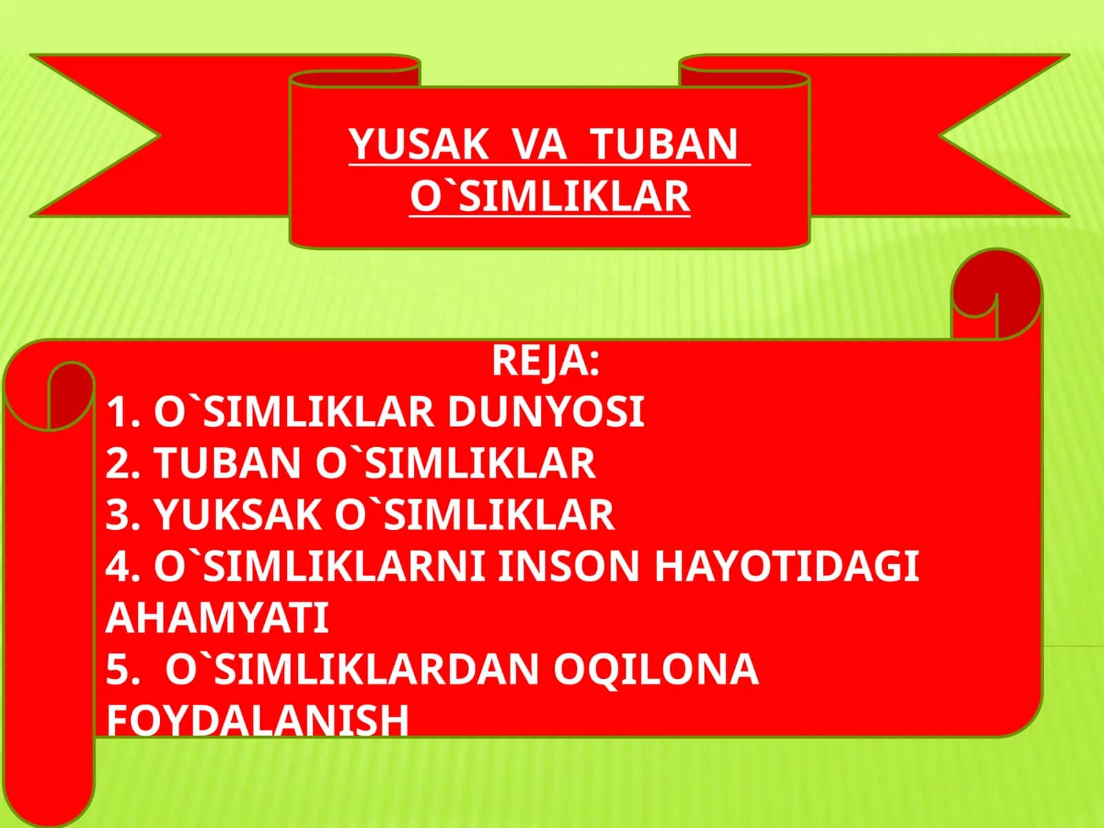 Tuban o'simliklar