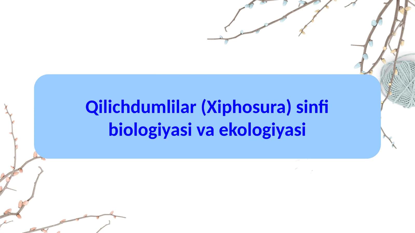 Qilich dumlilar (Xiphosura) sinfi biologiyasi va ekologiyasi