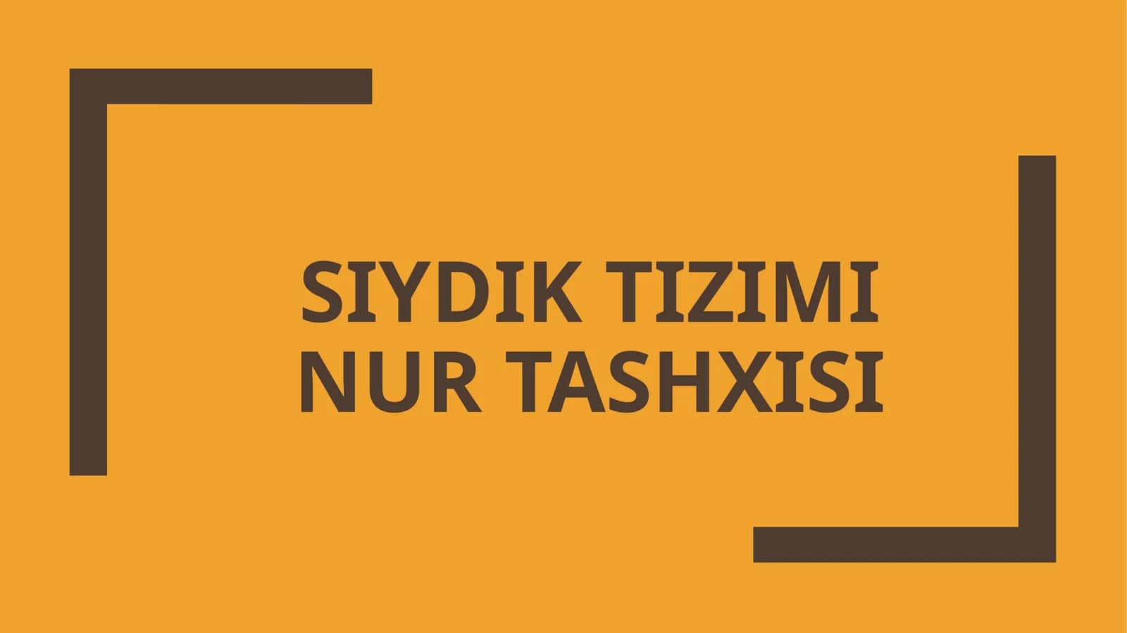Siydik tizimi nur tashxisi