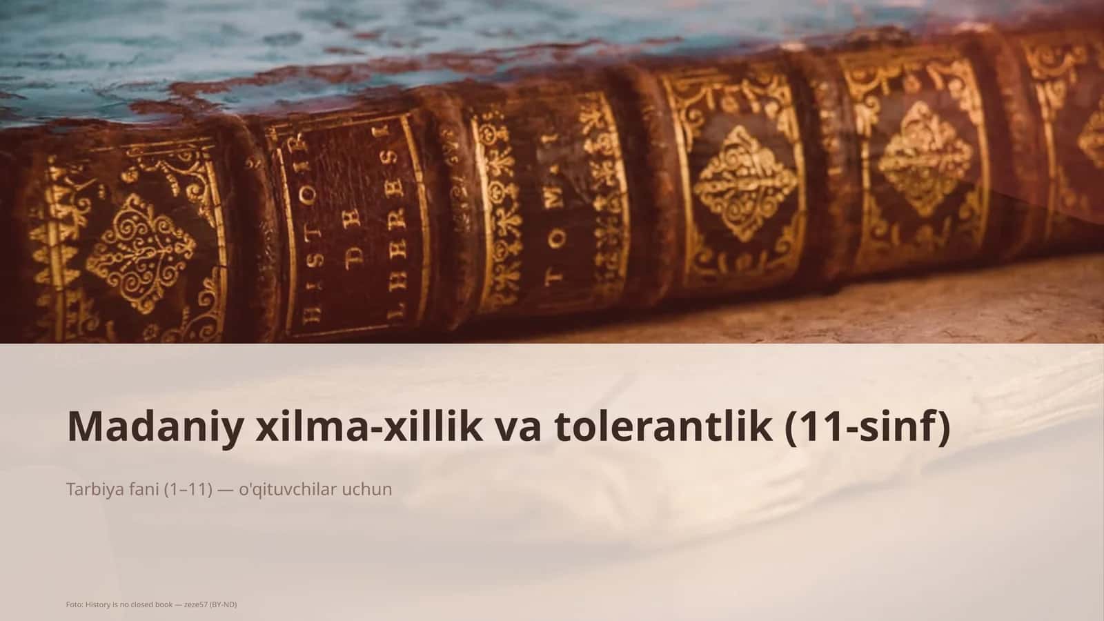 Madaniy xilma-xillik va tolerantlik (11-sinf)