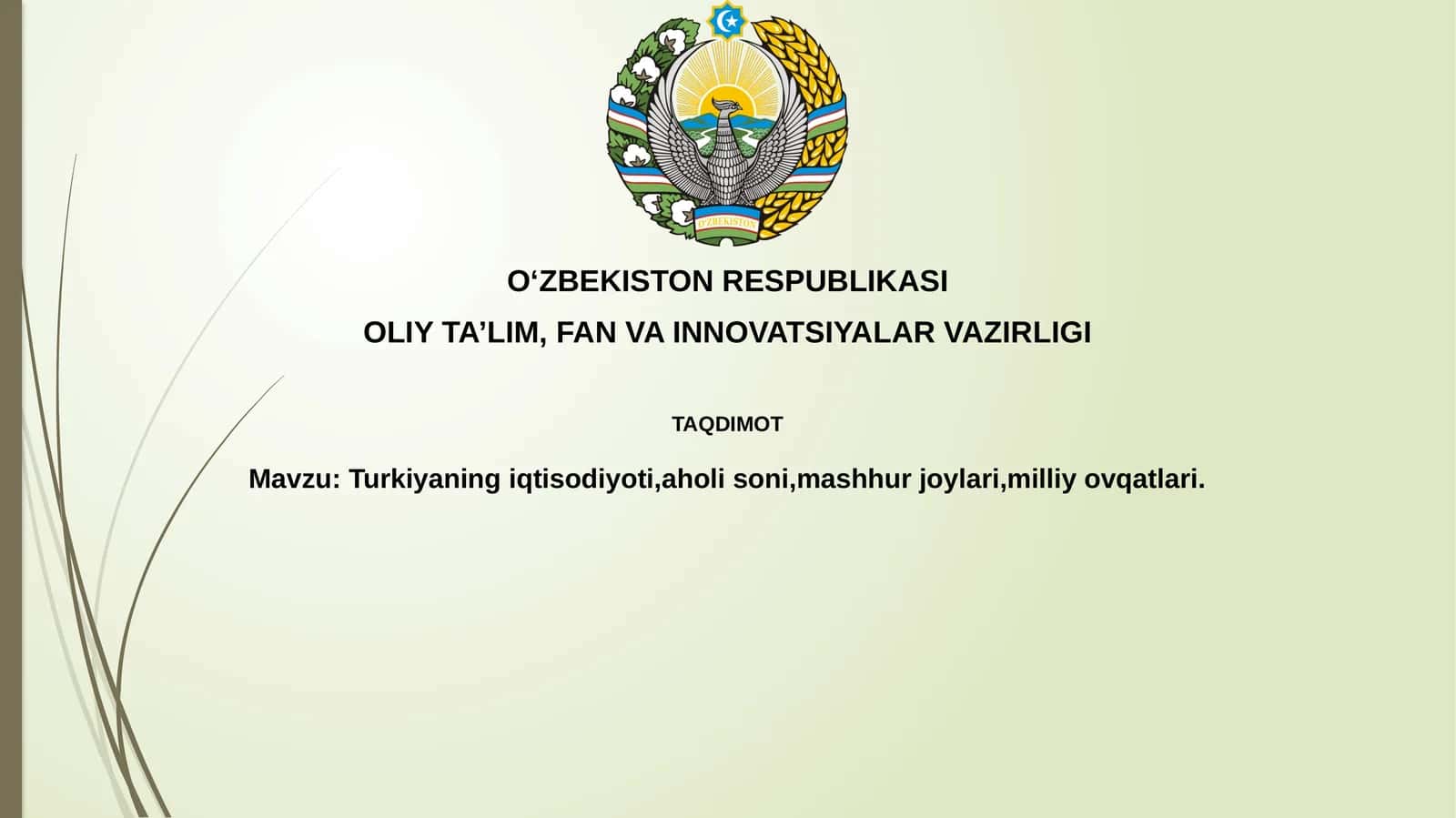 Turkiyaning iqtisodiyoti, aholisoni, mashhur joylari, milliy ovqatlari