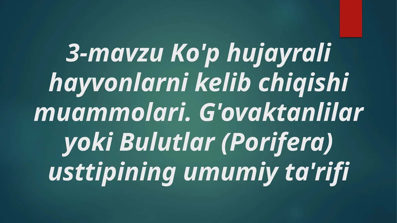 Ko'p hujayrali hayvonlarni kelib chiqishi muammolari. G'ovaktanlilar yoki Bulutlar (Porifera) usttipining umumiy ta'rifi