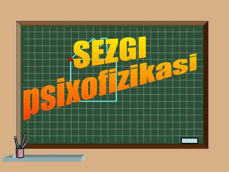 sezgi psixofizikasi