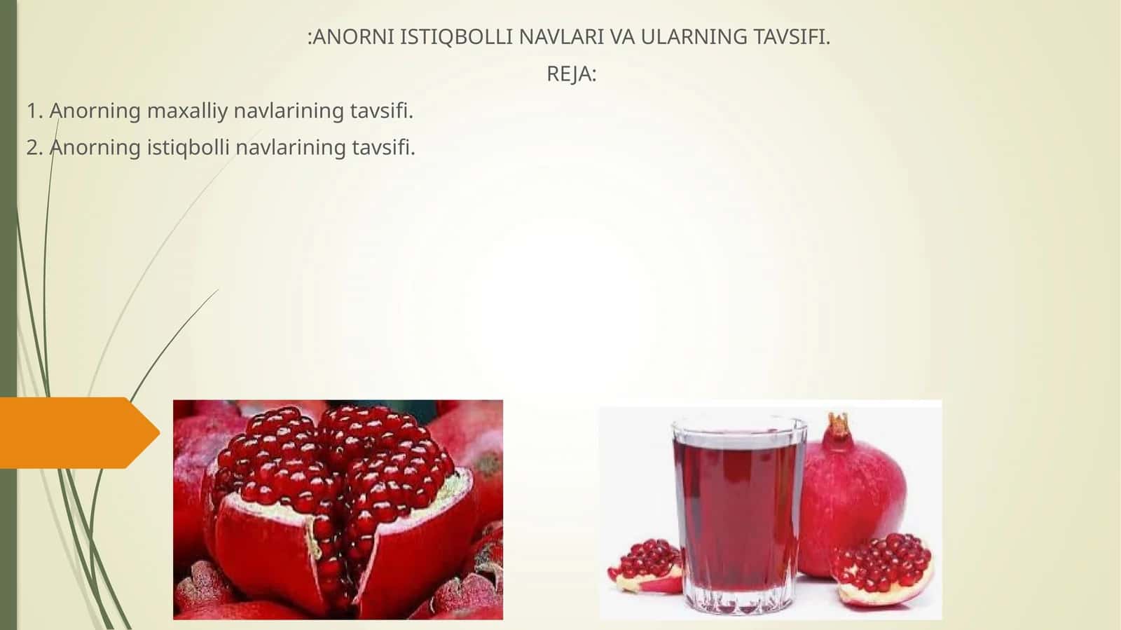 Anorning maxalliy navlarining tavsifi