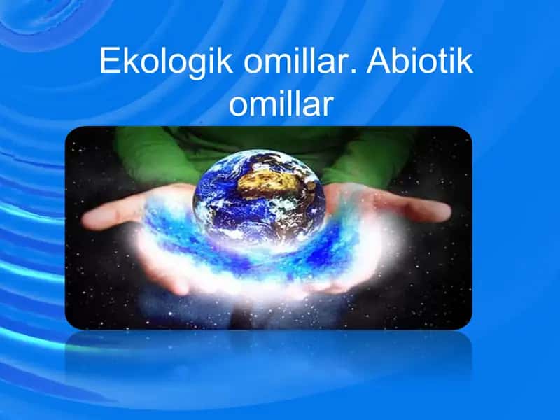 Ekologikomillar.Abiotikomillar