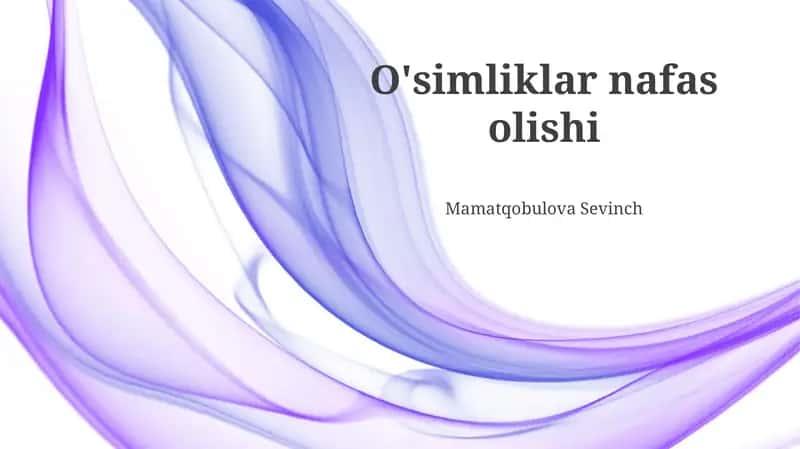 O'simliklar nafas olishi